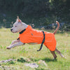 Dog Coats Small Waterproof,Warm Outfit Clothes Dog Jackets Small,Adjustable Drawstring Warm And Cozy Dog Sport Vest-（orange，size 2XL））