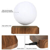 3D Magnetic Levitation Moon Lamp